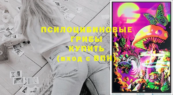 Альфа ПВП Аркадак