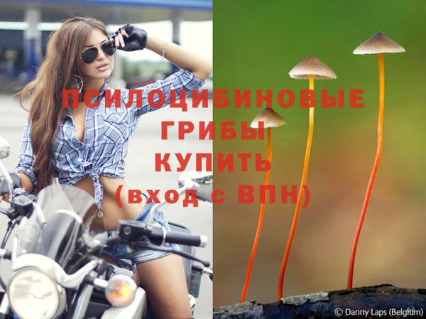 Альфа ПВП Аркадак